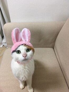 タジマ カイロプラクティック/まねきねこ