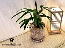 ネテマテ 表参道(netemate)/障子と畳の癒し空間【美容鍼】