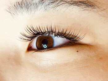 ウルカ アイラッシュ(uruka EYELASH)/フラットラッシュ 160本