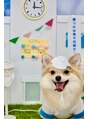 アンジェニック(&genic)&nbsp;次男のわんこポメチワ※お店にはいません