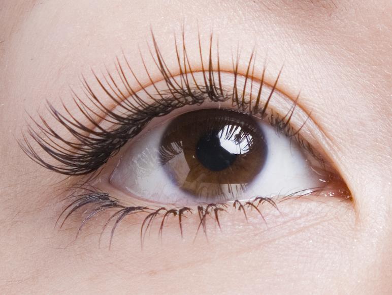 最高級セーブル☆上下付け放題【オフ&コーティング込・カラー変更可】\7000