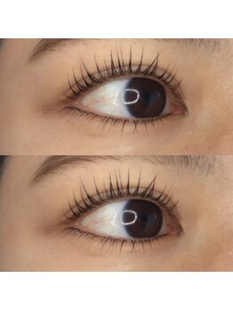 プラン アピ(plan api)/上下パリジェンヌラッシュリフト