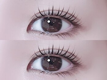 リノ(Lino)/カールデザイン