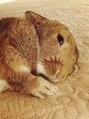 サククネイル(sacucunail) sacucu