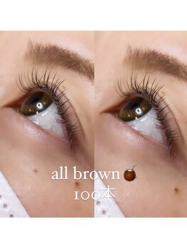 ラピス(Lapis)/ALLブラウン