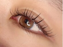 ラシク ベル(Lashiku Belle)/フラットラッシュ120