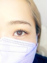 ルピナス(Lupinus)/LEDフラットラッシュ180本