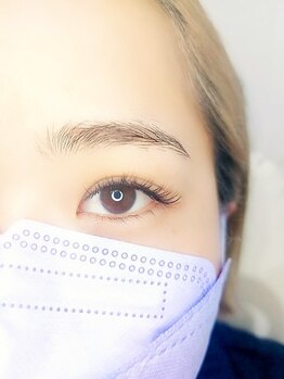 ルピナス(Lupinus)/LEDフラットラッシュ180本