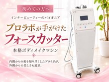 モア 星ヶ丘店(MORE)