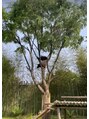 莉莉(リリィ) 気になるパンダの生態を観察するのが好きです♪