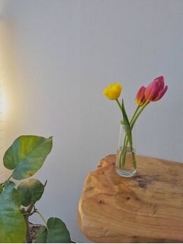 アキュネ 福岡薬院店(acune)/福岡/薬院/美容鍼/美肌