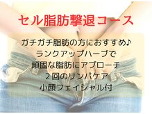 ヨサパーク ニコ(YOSA PARK nico)/【頑固脂肪】セル脂肪撃退コース