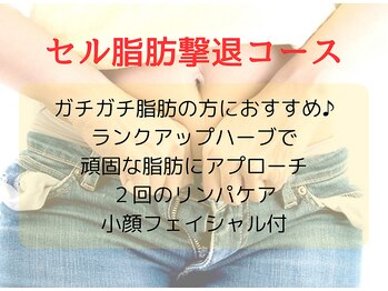 ヨサパーク ニコ(YOSA PARK nico)/【頑固脂肪】セル脂肪撃退コース