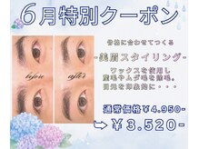 ネシア(nesia)