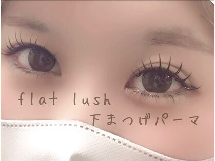 カリノ(carino)の写真