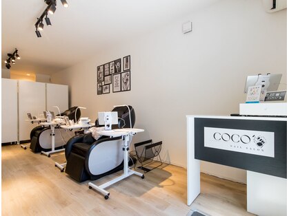 ココ(COCO)の写真