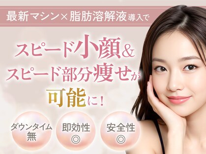 ミント(Mint)の写真