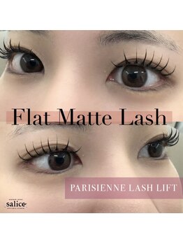 サーリチェ(salice)/【パリエク】フラット120本LED