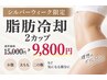 【シルバーウィーク限定】脂肪冷却2カップ 通常15000円→9800円