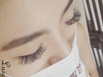 ラシェスキタモト (luscius kitamoto)/ボリュームラッシュ2H