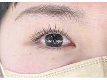 ホワイトカメリア 梅田茶屋町店(White Camellia)/まつ毛パーマ/マツエクサロン