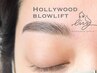 【眉の左右差解消♪】ハリウッド＋眉毛WAX(間引き可)+眉毛ふさふさ4TR 8200