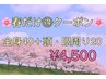 『春第1弾』　全身マッサージ40分+頭、眼周り20分5,120円→4,500円