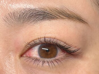 アンバー(Amber)/上下flat