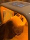 アンリミット(Unlimit)の写真/＼韓国美容でも話題！／≪美肌LEDライト導入♪≫ハリ・美白・シミ・ニキビの悩みに合わせて選べる4モード！