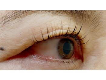 クレー(Klee)/パリジェンヌラッシュリフト