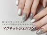 【ネイル新規￥6800】マグネットネイルワンカラー☆