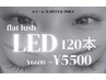 6月限定SPECIALクーポン！LEDエクステ120本6600円→5500円♪オフ代込み