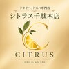 シトラス 千駄木店のお店ロゴ