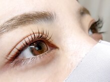 ニジュウバンチ クダマツ(20Banchi Kudamatsu)/