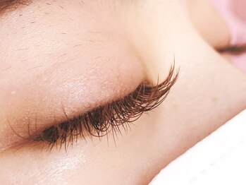 ラ シュープリーム(La SUPREME)/カーキブラウン×ダークブラウン