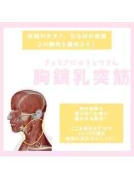 ハリファ鍼灸院 横浜関内院(HariFa鍼灸院)/胸鎖乳突筋をゆるめましょう！