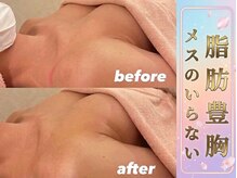 サロン ド ガーネット(Salon de Garnet)の雰囲気（ハンド＋最新マシンの二刀流でお悩みに合わせてしっかり根本改善）