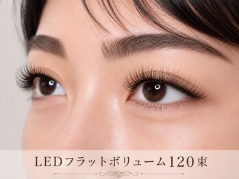 チック(chick)/LEDフラットボリューム120束