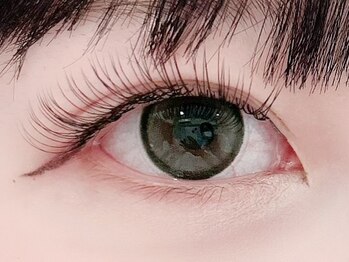 ホクメリア(hoku/melia)/フラットラッシュ140本