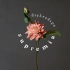 スプレミア(supremia)のお店ロゴ