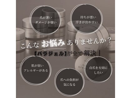 ベア(bear)の写真