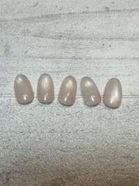 大人シンプルデザイン　¥6,900