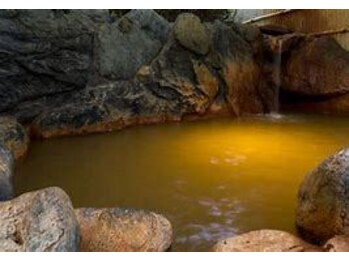 南道後温泉 ていれぎの湯/温泉　金泉