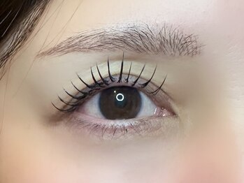 フリー#240(Free#240)/フラットラッシュ