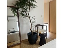 ルナ(LUNA)の雰囲気（光が差し込み、緑に囲まれる空間でゆったりとした時間を。）