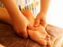 モミノキ(mominoki)/