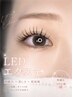 【学割U24 クーポン夏限定　】ナチュラル仕上げ　LEDエクステ100本　
