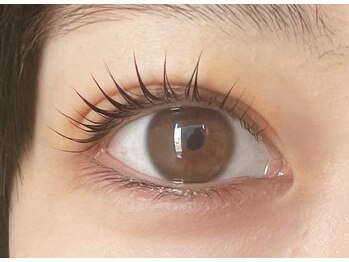 テイラー(Taylor)/束感ラッシュリフト SONE