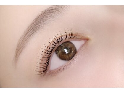 シクラプ(siklap)の写真