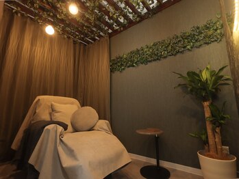 巡 堀江(meguri)/Forest rooom(森)